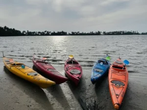 Intro to Sea Kayaking