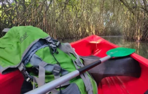 Intro to Sea Kayaking