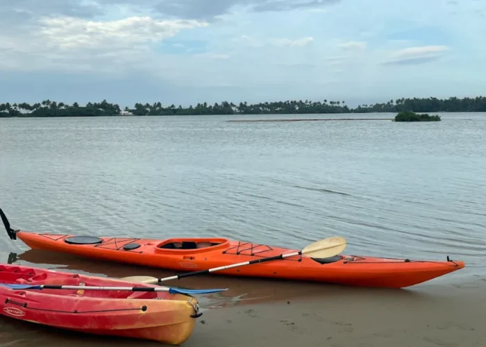 Intro to Sea Kayaking
